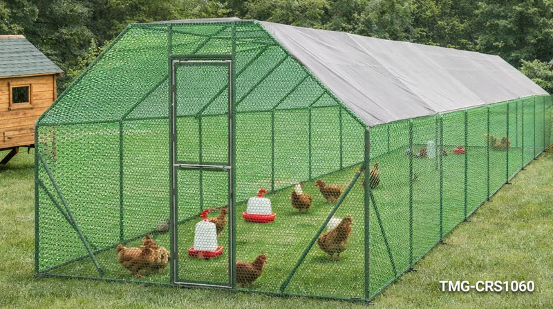 How to Keep Your Chickens Safe with Quality Coop Runs