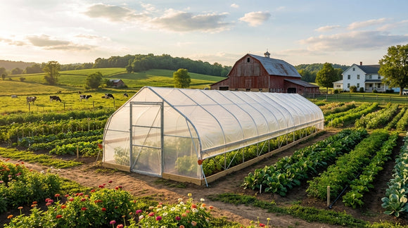 What Size Greenhouse Do You Need? A Size Guide From Hobby to Commercial