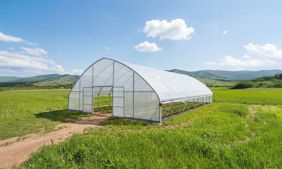 How Clear Poly Covers Enhance Growth in Commercial Tunnel Greenhouses TMG Industrial Australia