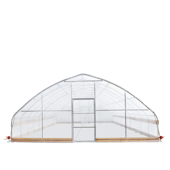 7.6 m x 12.2 m (25' x 40') Tunnel Greenhouse Grow Tent w/0.15 mm (6 Mil) Clear EVA Plastic Film, Cold Frame, Hand Crank Roll-Up Sides, Peak Ceiling Roof, TMG-GH2540-V2 (Previously GH2540) TMG Industrial Australia