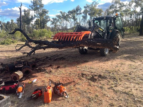 Skid steer skeleton root rake grapple