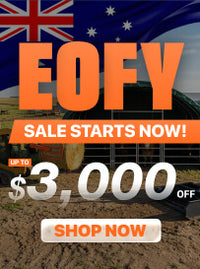 Monthly Sales
