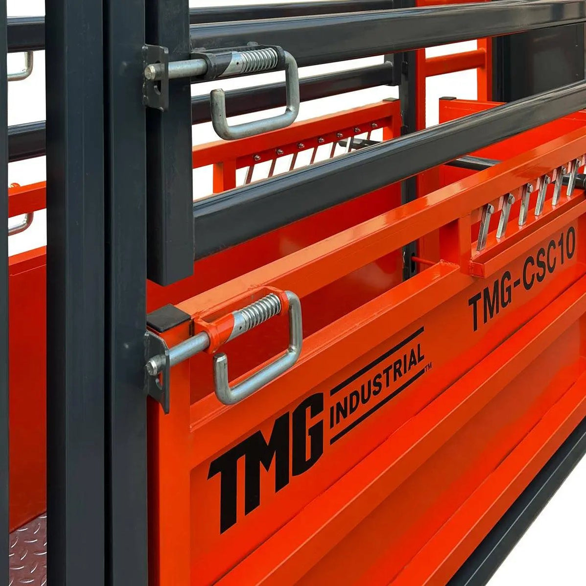 TMG 3 m Cattle Work Chute, 2040 kg Weight Scale, Side Exit – TMG ...