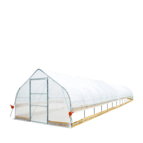 TMG Industrial 12’ x 60’ Tunnel Greenhouse Grow Tent w/6 Mil Clear EVA Plastic Film, Cold Frame, Hand Crank Roll-Up Sides, Peak Ceiling Roof, TMG-GH1260