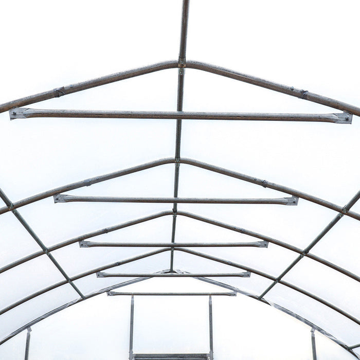 7.6 x 25 m Tunnel Greenhouse Grow Tent w/6 Mil Clear EVA Plastic Film, Cold Frame, Hand Crank Roll-Up Sides, Peak Ceiling Roof, TMG-GH2580-V2 (Previously GH2580)