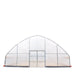 TMG-GH3030-V2 30' x 30' commercial tunnel greenhouse with 6 mil clear EVA poly cover and roll-up sides, view 4.