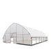 TMG-GH3030-V2 30' x 30' commercial tunnel greenhouse with 6 mil clear EVA poly cover and roll-up sides, view 14.