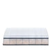 TMG-GH3030-V2 30' x 30' commercial tunnel greenhouse with 6 mil clear EVA poly cover and roll-up sides, view 26.