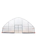 30' x 40' Commercial Tunnel Greenhouse with 6 Mil Clear Poly Covers and Roll-Up Sides TMG-GH3040-V2 (Previously GH3040) TMG Industrial CA