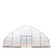 TMG Industrial 30’ x 80’ Tunnel Greenhouse Grow Tent w/6 Mil Clear EVA Plastic Film, Cold Frame, Hand Crank Roll-Up Sides, Peak Ceiling Roof, TMG-GH3080