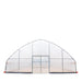 9.1 m x 24.4 m Commercial Tunnel Greenhouse (30' x 80') with 0.15 mm (6 Mil) Clear Poly Covers and Roll-Up Sides, TMG-GH3080-V2 TMG Industrial Australia