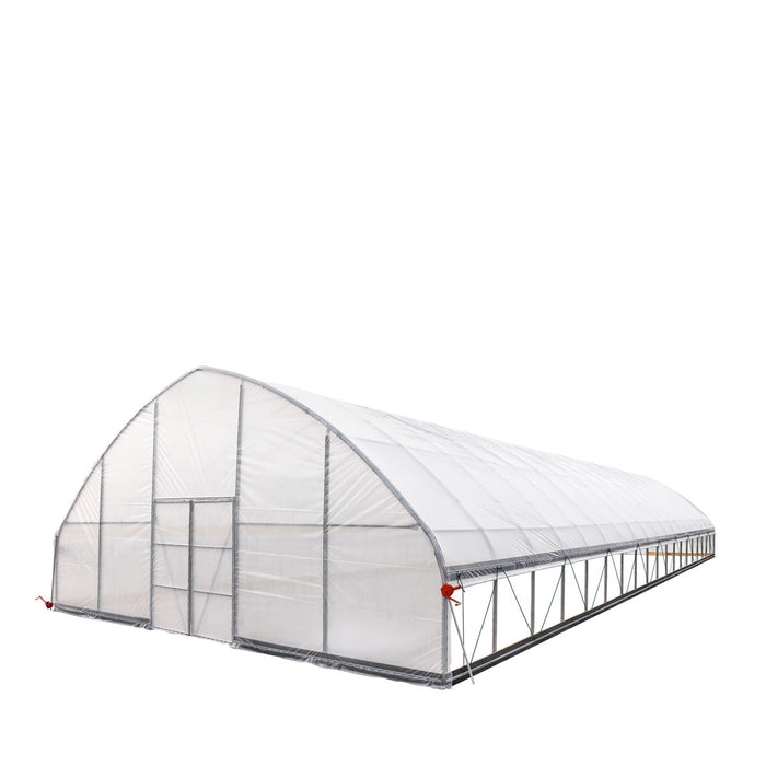 9.1 m x 24.4 m Commercial Tunnel Greenhouse (30' x 80') with 0.15 mm (6 Mil) Clear Poly Covers and Roll-Up Sides, TMG-GH3080-V2 TMG Industrial Australia