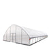 9.1 m x 24.4 m Commercial Tunnel Greenhouse (30' x 80') with 0.15 mm (6 Mil) Clear Poly Covers and Roll-Up Sides, TMG-GH3080-V2 TMG Industrial Australia