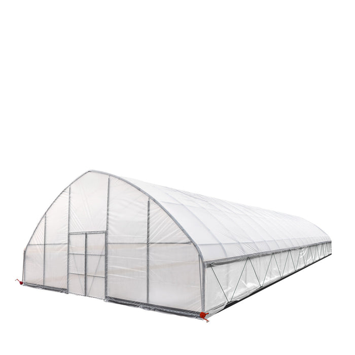 9.1 m x 24.4 m Commercial Tunnel Greenhouse (30' x 80') with 0.15 mm (6 Mil) Clear Poly Covers and Roll-Up Sides, TMG-GH3080-V2 TMG Industrial Australia