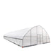 9.1 m x 24.4 m Commercial Tunnel Greenhouse (30' x 80') with 0.15 mm (6 Mil) Clear Poly Covers and Roll-Up Sides, TMG-GH3080-V2 TMG Industrial Australia