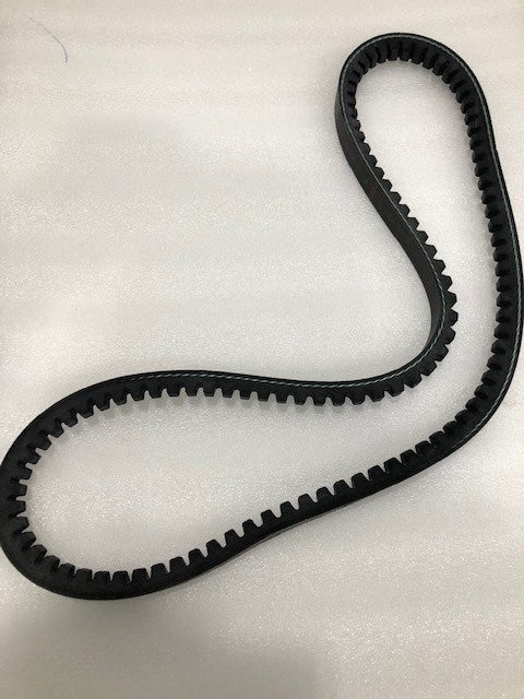 TMG-AFM48-B3 Belt (pack of 2)