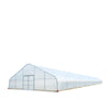 TMG-GH30100 30' x 100' Tunnel Greenhouse Grow Tent with 6mm Clear EVA Plastic
